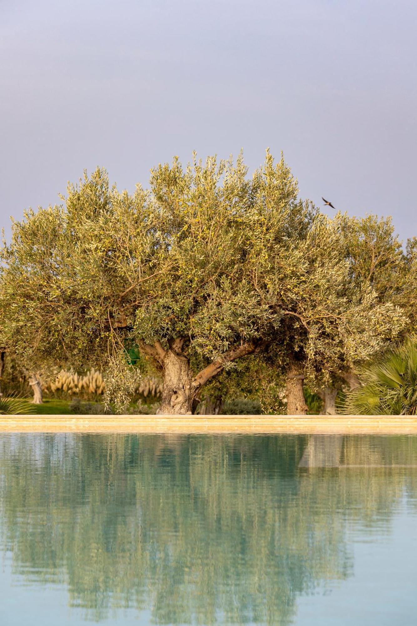 Agua Green Resort ريتاني المظهر الخارجي الصورة