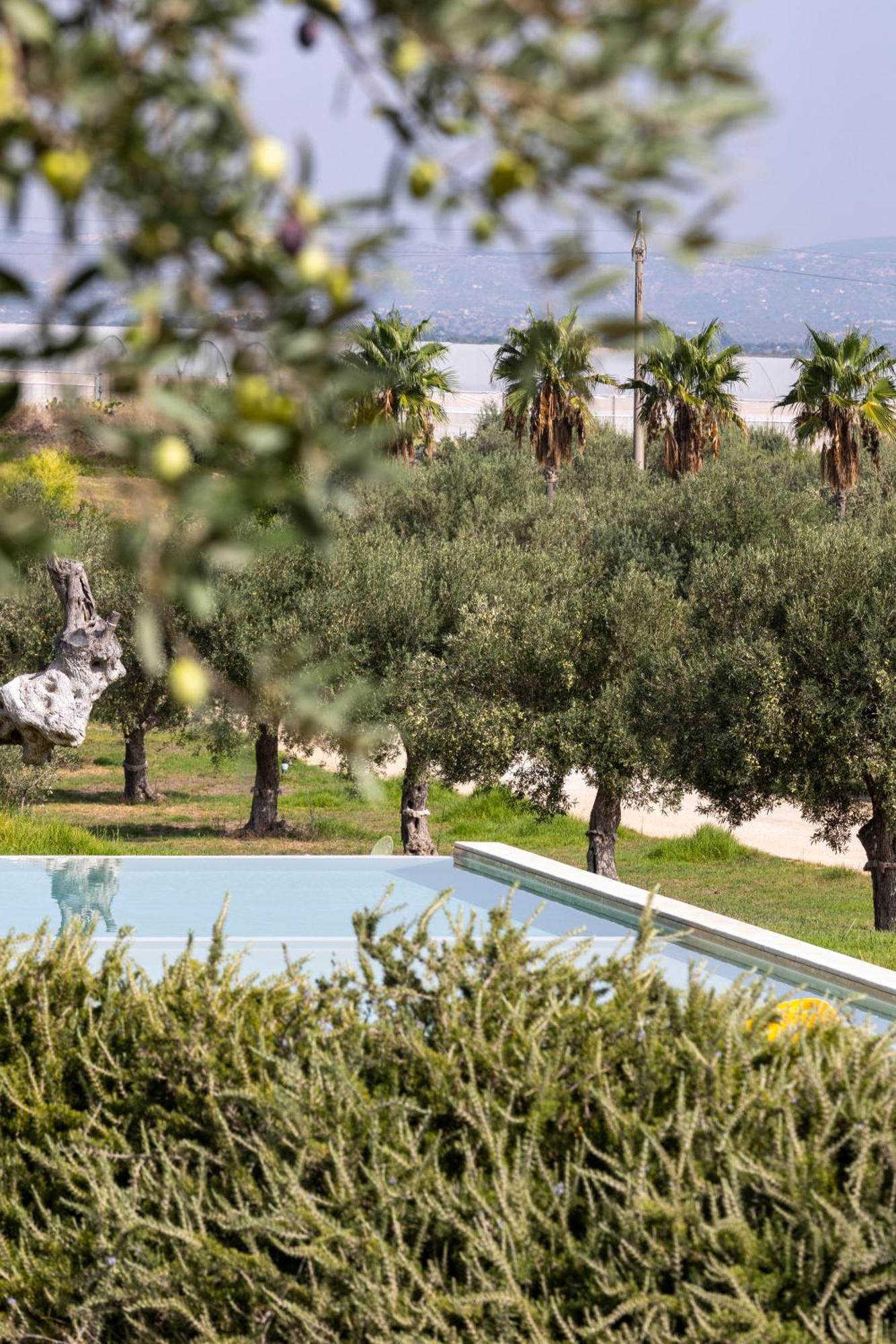 Agua Green Resort ريتاني المظهر الخارجي الصورة
